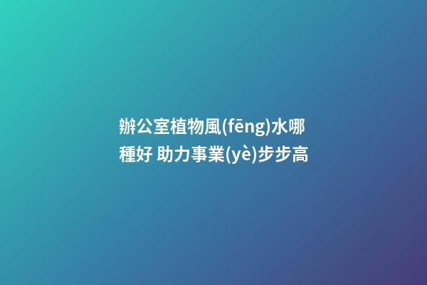 辦公室植物風(fēng)水哪種好 助力事業(yè)步步高